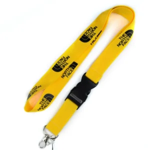 Custom Colorful Ribbon Key Chain Card Holder Lanyard